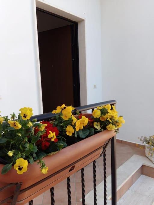 Appartamento Casa Di Cristina Fiumicino